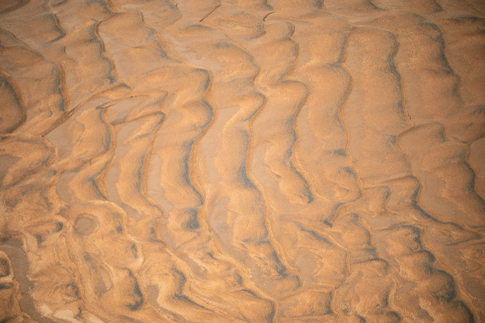 Human & Nature  outoftime 117